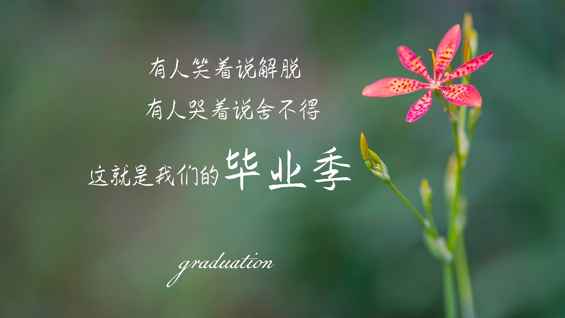 华体会登录-岁月与獠牙，苏亚雷斯主宰末节，巴萨险胜佛罗伦萨  第2张